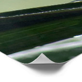 Palmboombladeren Poster (Hoek)