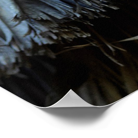 Palmboombladeren Poster (Hoek)