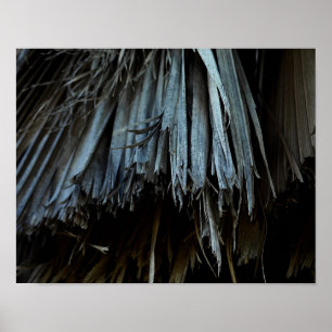 Palmboombladeren Poster