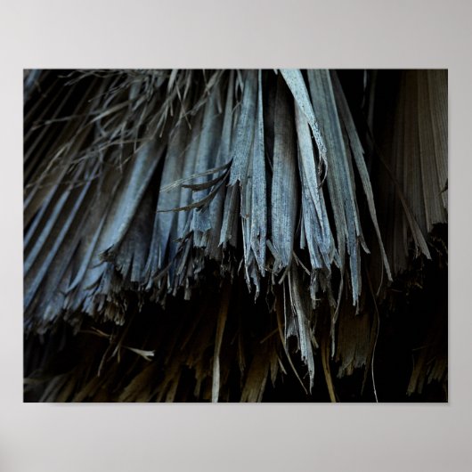 Palmboombladeren Poster (Voorkant)