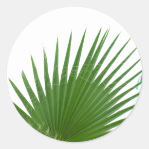 Palmboombladeren Ronde Sticker