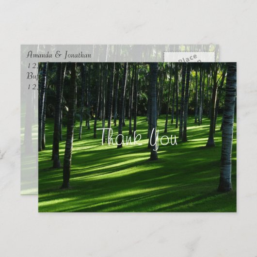 Palmboombos Dank u Briefkaart (Voorkant / Achterkant)