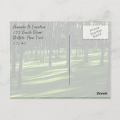 Palmboombos Dank u Briefkaart (Achterkant)