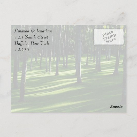 Palmboombos Dank u Briefkaart (Achterkant)