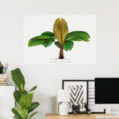  palmboomdruk op de Seychellen Poster (Thuiskantoor)