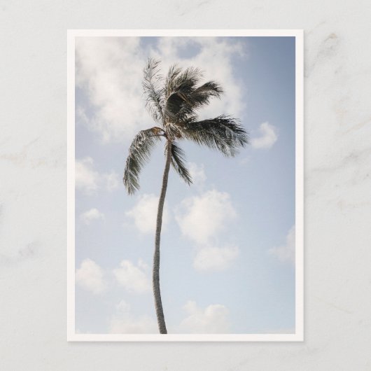 Palmboomfoto Tropisch Strand Hawaii Briefkaart (Voorkant)