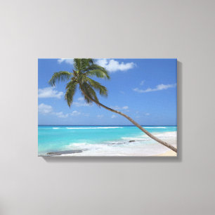 Palmboomkaribboon Canvas Afdruk