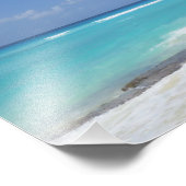 Palmboomkaribboon Foto Afdruk (Hoek)