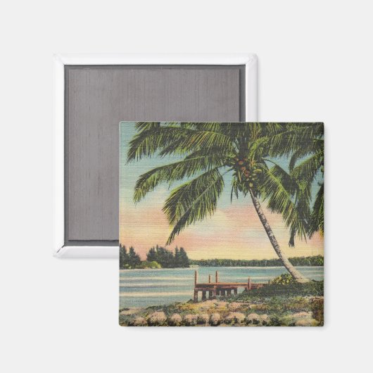  palmboomkregelaar magneet (Voorkant / Achterkant)