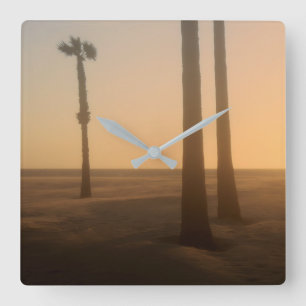 Palmboomlandschap in mist vierkante klok