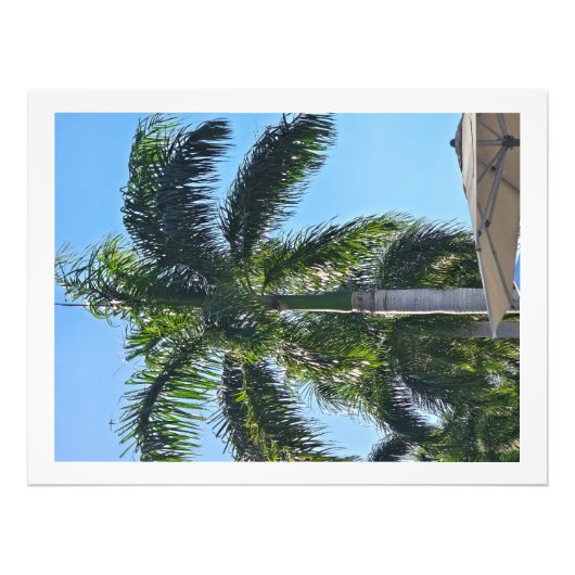 Palmboomprint Foto Afdruk (Voorkant)
