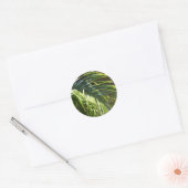 Palmboomschijfjes Ronde Sticker (Envelop)