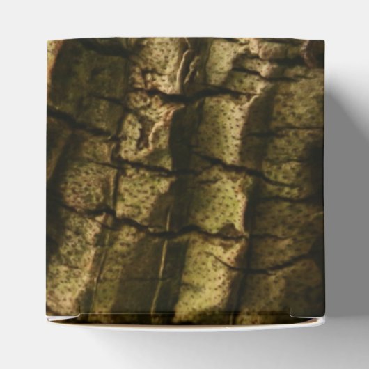 Palmboomschors Bedankdoosjes (Bovenkant)