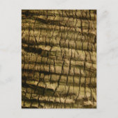 Palmboomschors Briefkaart (Voorkant)