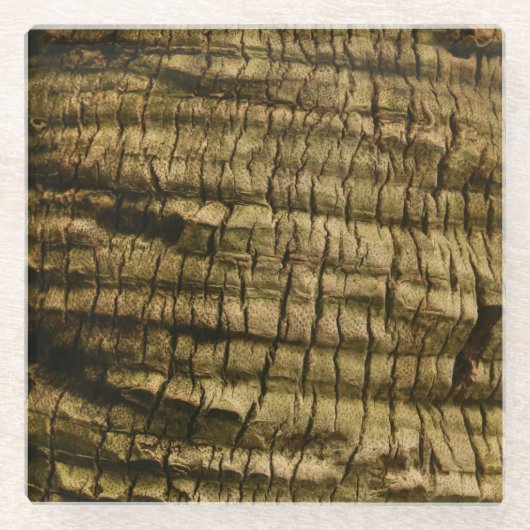 Palmboomschors Glazen Onderzetter (Voorkant)