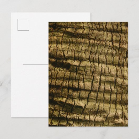 Palmboomschors Uitnodiging Briefkaart (Voorkant / Achterkant)