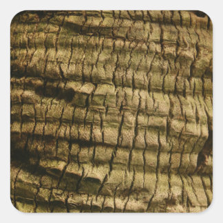 Palmboomschors Vierkante Sticker