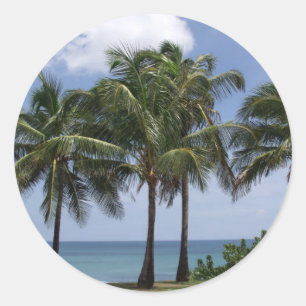 Palmboomsticker Ronde Sticker