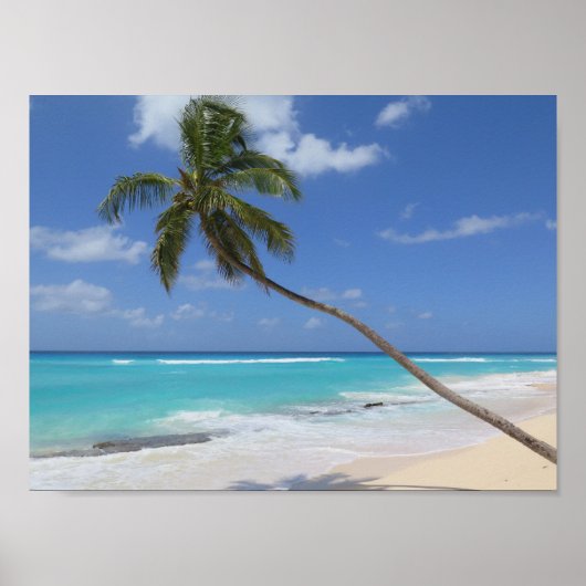 Palmboomstrand Caribische Barbados Poster (Voorkant)