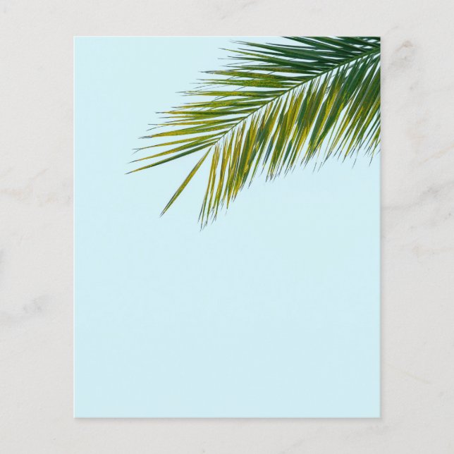 Palmboomtak (Voorkant)