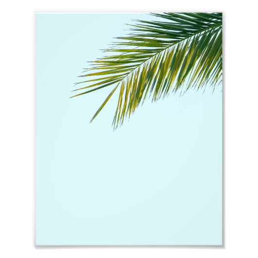 Palmboomtak Foto Afdruk (Voorkant)