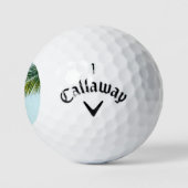 Palmboomtak Golfballen (Logo)