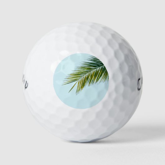 Palmboomtak Golfballen (Voorkant)