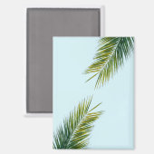 Palmboomtak Magneet (Voorkant / Achterkant)