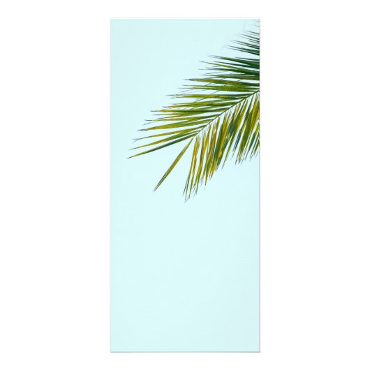 Palmboomtak Reclamekaart (Voorkant)