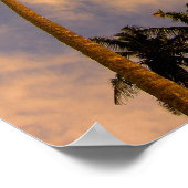 Palmboomtropische zomerfoto poster (Hoek)