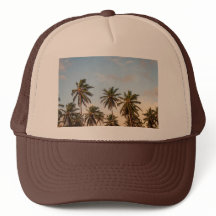 Palmboomtrucker