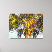 Palmboomvertakkingen, namiddag zon canvas afdruk (Voorkant)