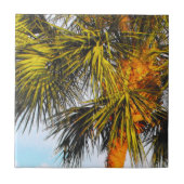 Palmboomvertakkingen, namiddag zon tegeltje (Voorkant)