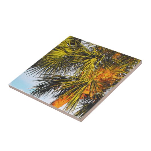 Palmboomvertakkingen, namiddag zon tegeltje (Zijkant)