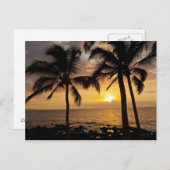 Palmboomzonsondergang Briefkaart (Voorkant / Achterkant)