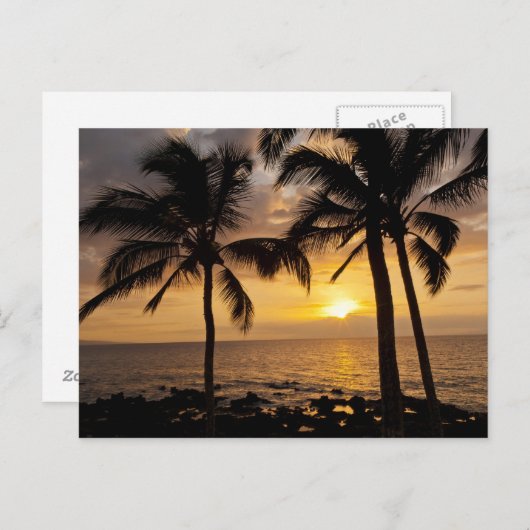 Palmboomzonsondergang Briefkaart (Voorkant / Achterkant)