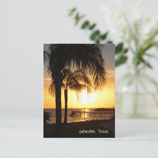 Palmboomzonsondergang Briefkaart (Staand voorkant)