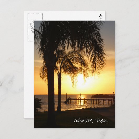 Palmboomzonsondergang Briefkaart (Voorkant / Achterkant)