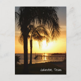 Palmboomzonsondergang Briefkaart