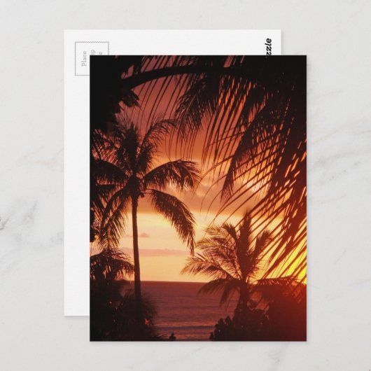 Palmboomzonsondergang in Hawaï Briefkaart (Voorkant / Achterkant)