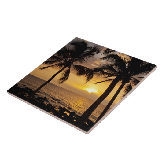 Palmboomzonsondergang Tegeltje (Zijkant)