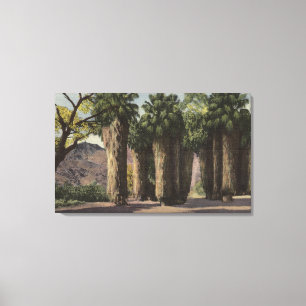 Palmcirkel, Andreas Canyon Canvas Afdruk