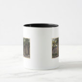 Palmcirkel, Andreas Canyon Mok (Midden)