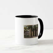 Palmcirkel, Andreas Canyon Mok (Voorkant rechts)