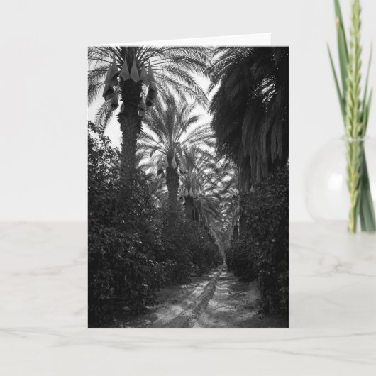 Palmen en Oranje Bomen dichtbij Woestijn, 1966 Kaart (Voorkant)