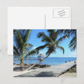 Palmen en pier in Belize Briefkaart (Voorkant / Achterkant)