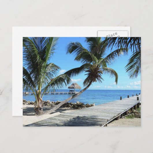 Palmen en pier in Belize Briefkaart (Voorkant / Achterkant)