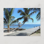 Palmen en pier in Belize Briefkaart (Voorkant)