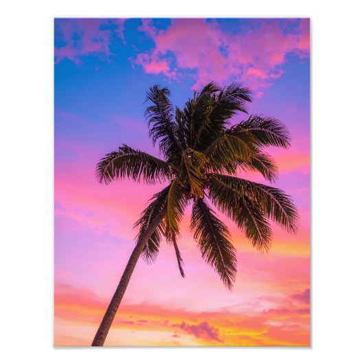 palmen foto afdruk (Voorkant)