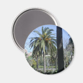 Palmen in Malaga Magneet (Voorkant / Achterkant)